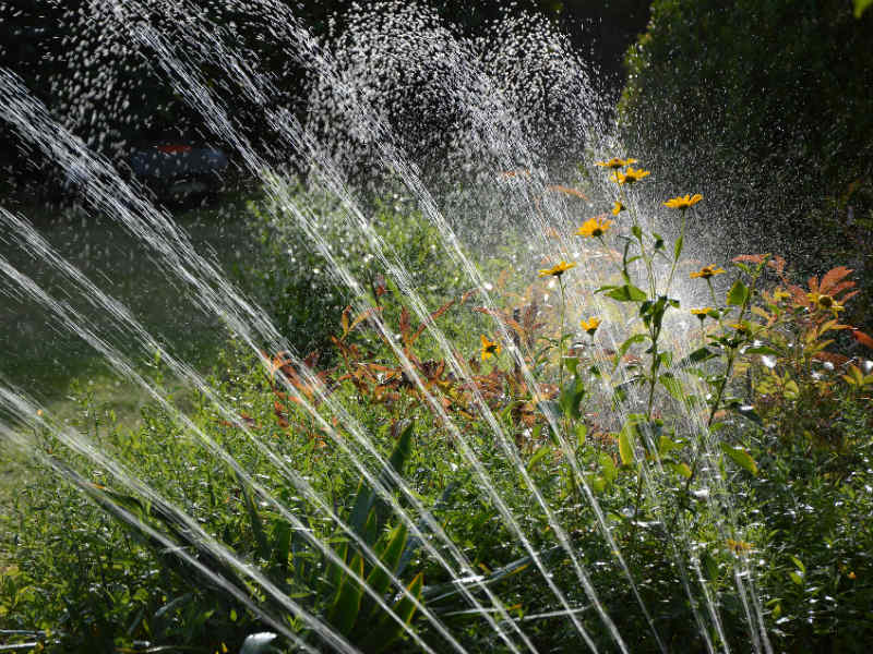 Automatische Bewässerungssysteme für Deinen Garten im Test tink
