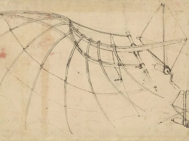flugmaschine skizze von da vinci