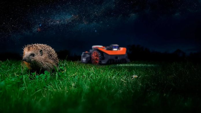 Ein kleiner Igel auf einer grünen Wiese bei Nacht unter einem sternenklaren Himmel, im Hintergrund ein orangefarbener Mähroboter mit leuchtenden Scheinwerfern, was die Wichtigkeit eines Mähroboter Nachtfahrverbots verdeutlicht.